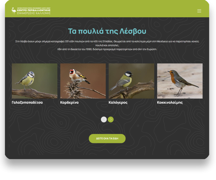 Γραφιστική μας προσέγγιση