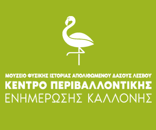 Σχετικά με το έργο